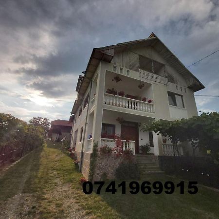 Pensiunea Angelica Baia de Fier Exterior foto