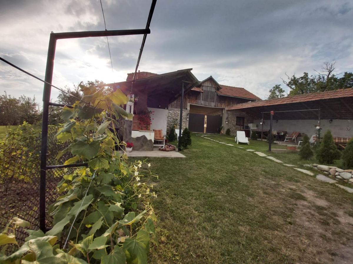 Pensiunea Angelica Baia de Fier Exterior foto